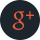 Google+